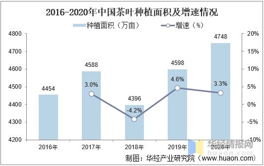 2021年全球及中国茶叶行业发展现状分析行业市场持续增长「图」(图6)